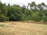 Terrain à CAMPSEGRET