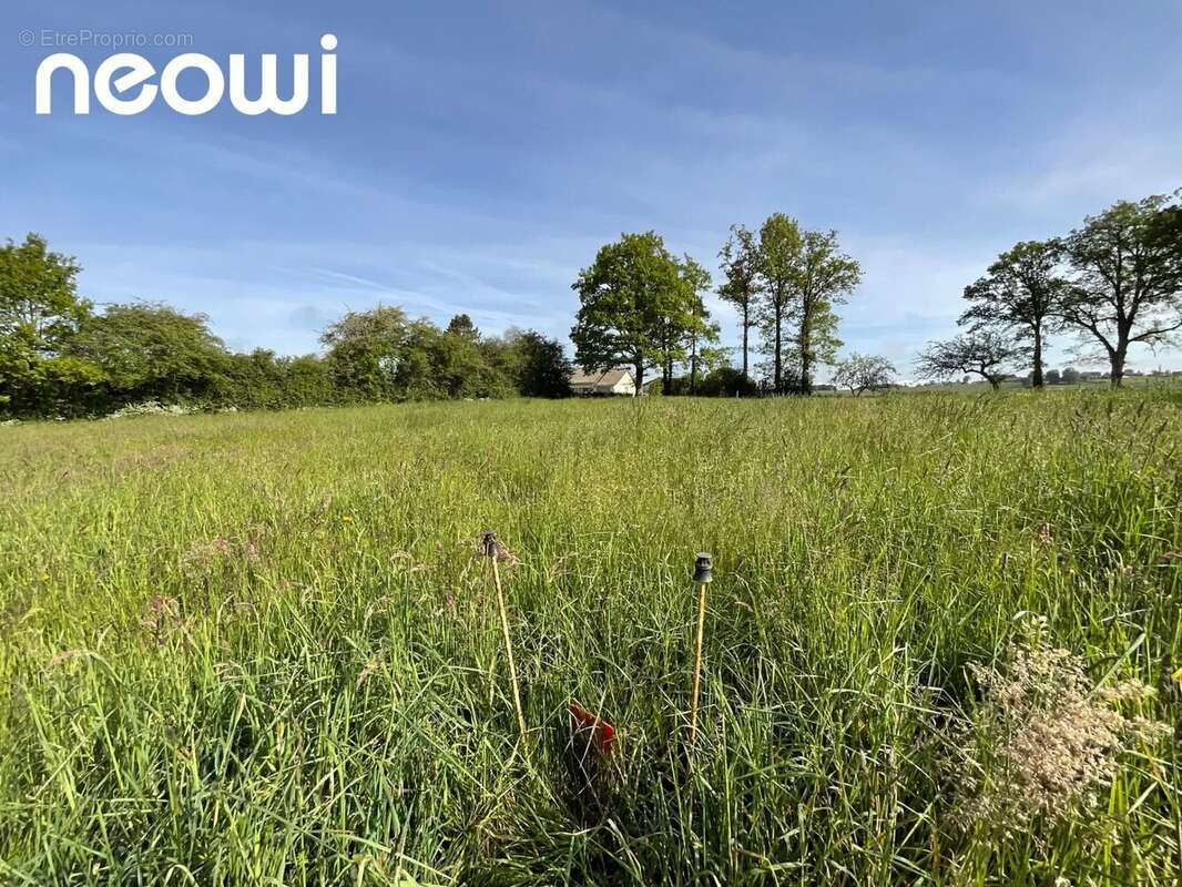 Terrain à ROANNES-SAINT-MARY