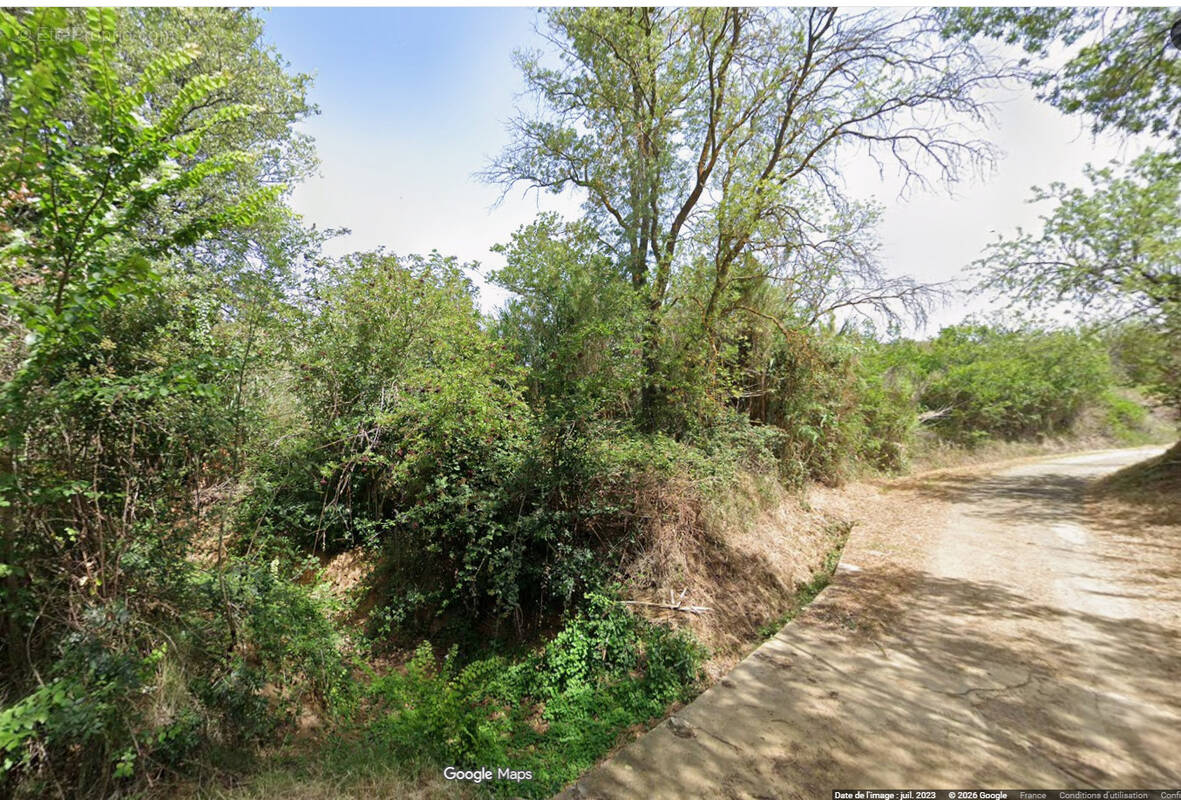 TERRAIN - 12 440m2 - photo 1