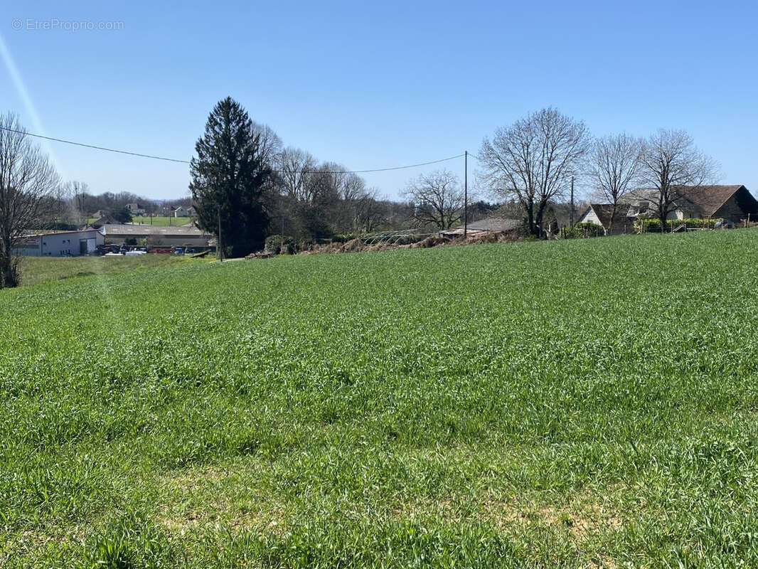 Terrain à SAINT-SORNIN-LAVOLPS