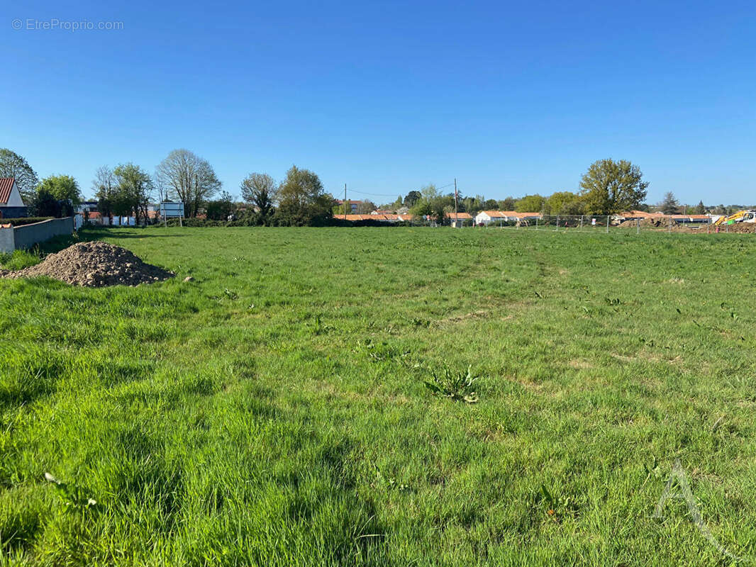 Terrain à CHAVAGNES-EN-PAILLERS