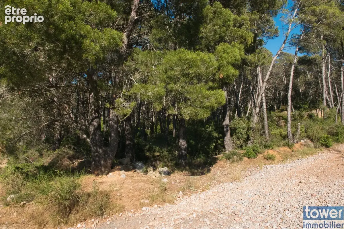 Fabrezan-Terrain 4 ha non constructible en Zone Naturelle - photo 12