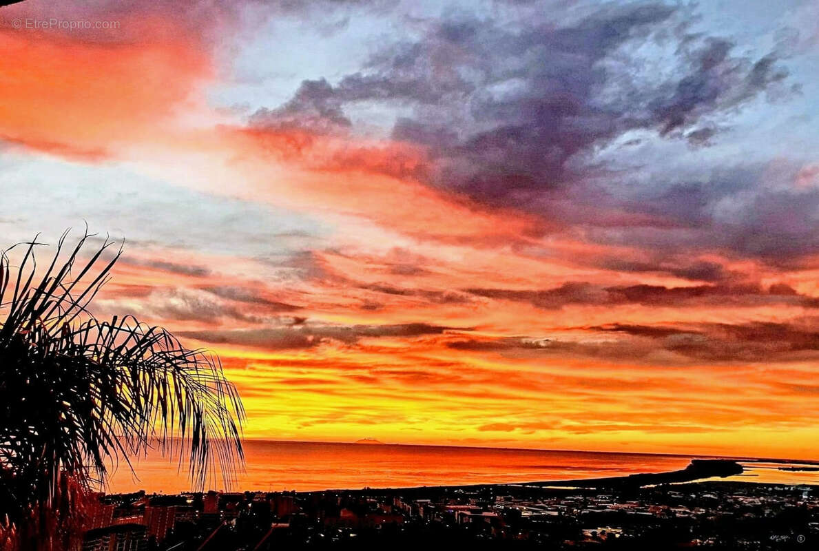 Maison à SAN-MARTINO-DI-LOTA