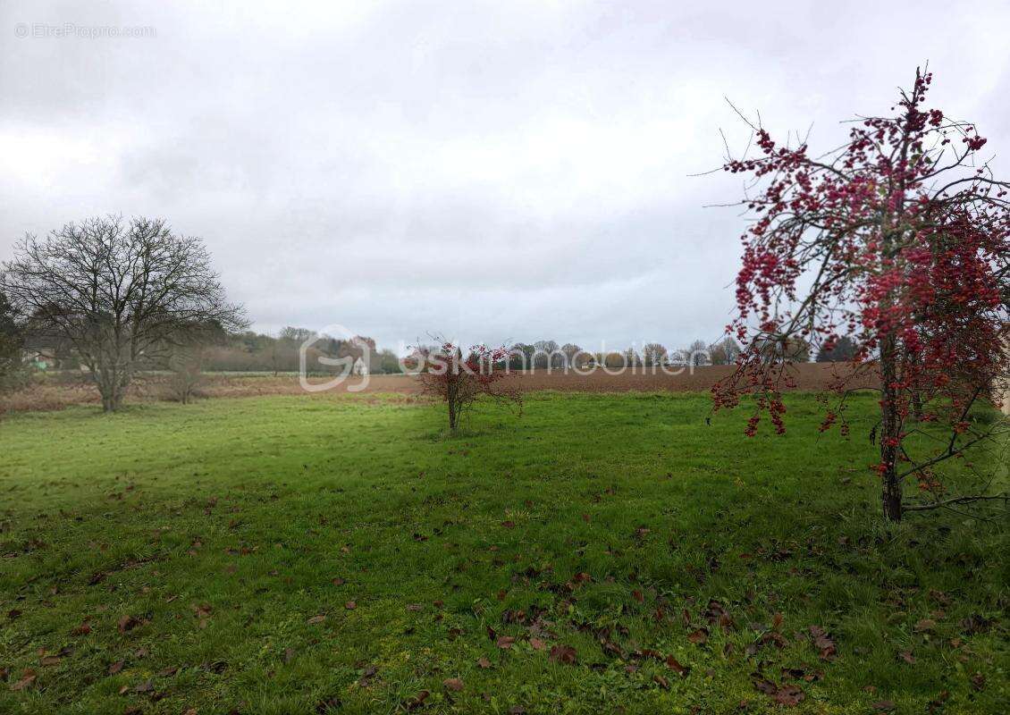 Terrain Constructible de 1095 m² à Savigny sur Clairis - photo 4