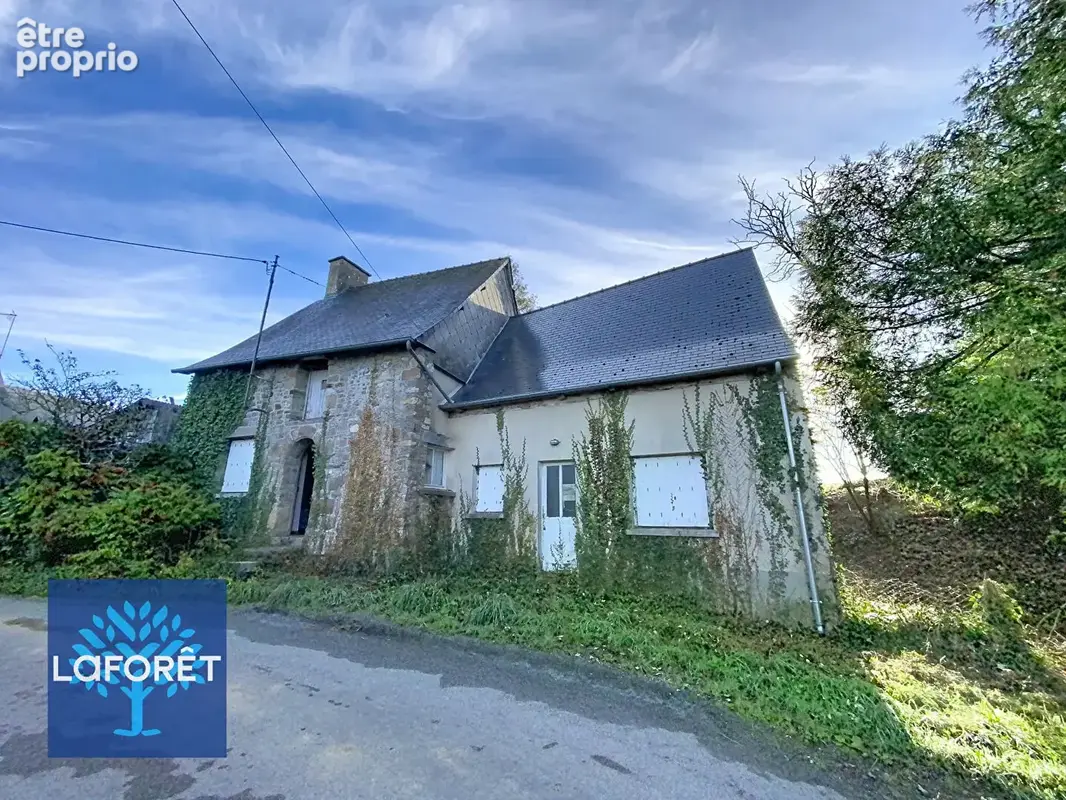 Maison Bille 3 pièce(s) 60 m2 - photo 6