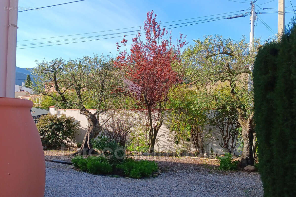 Maison à LAROQUE-DES-ALBERES