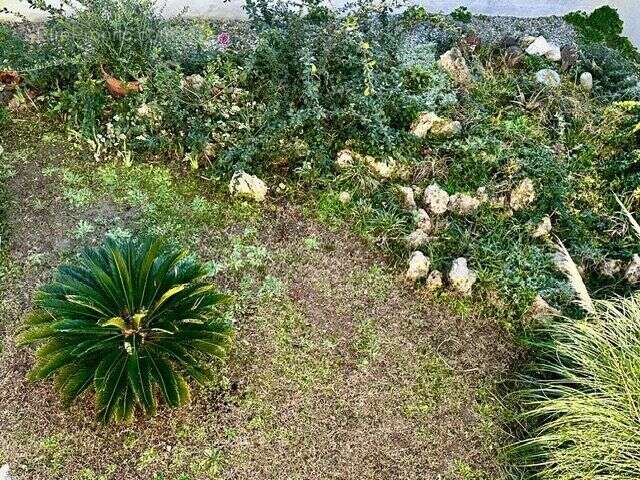 Photo 3 - Maison à PEZENAS