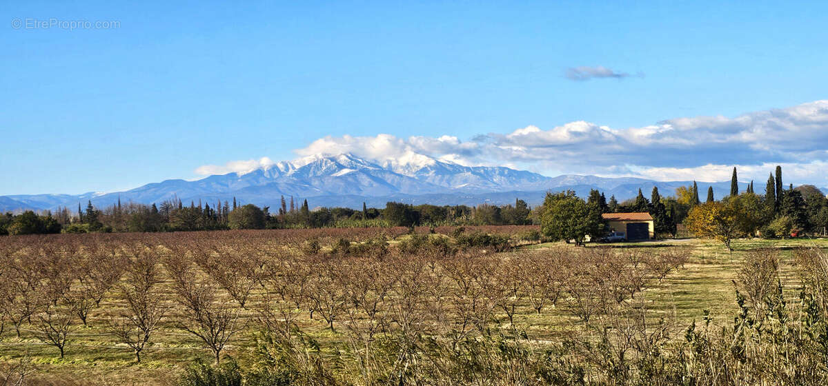 Maison à LAROQUE-DES-ALBERES