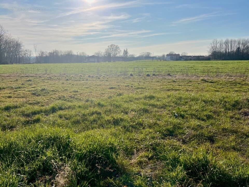 Terrain à SAINT-DENIS-LES-BOURG