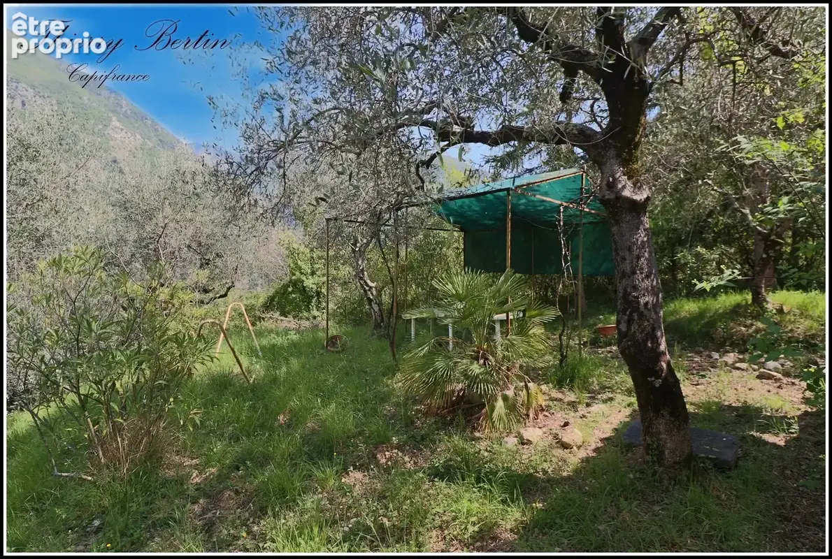 Maison à vendre 3 pièces BREIL SUR ROYA (06) - photo 17