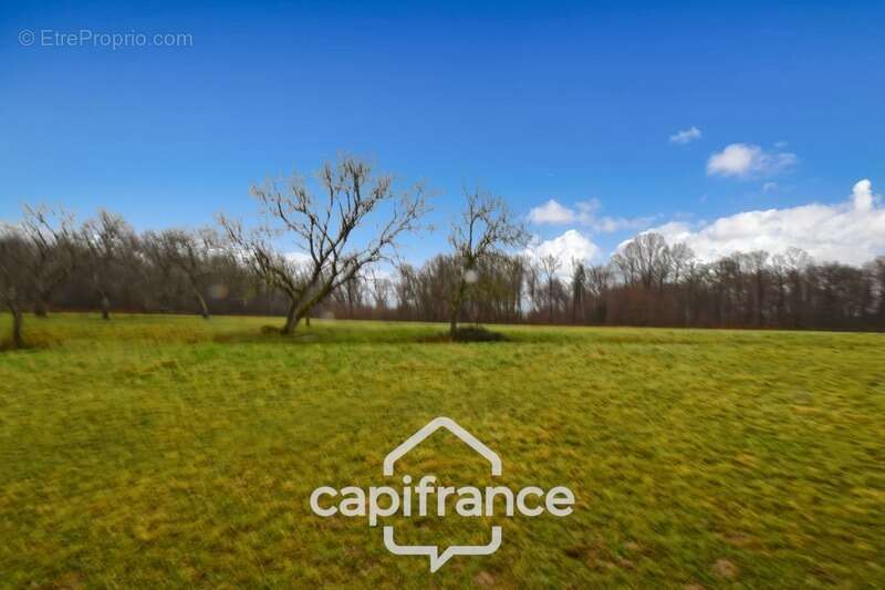 Terrain à vendre  SAGY (71) - photo 4