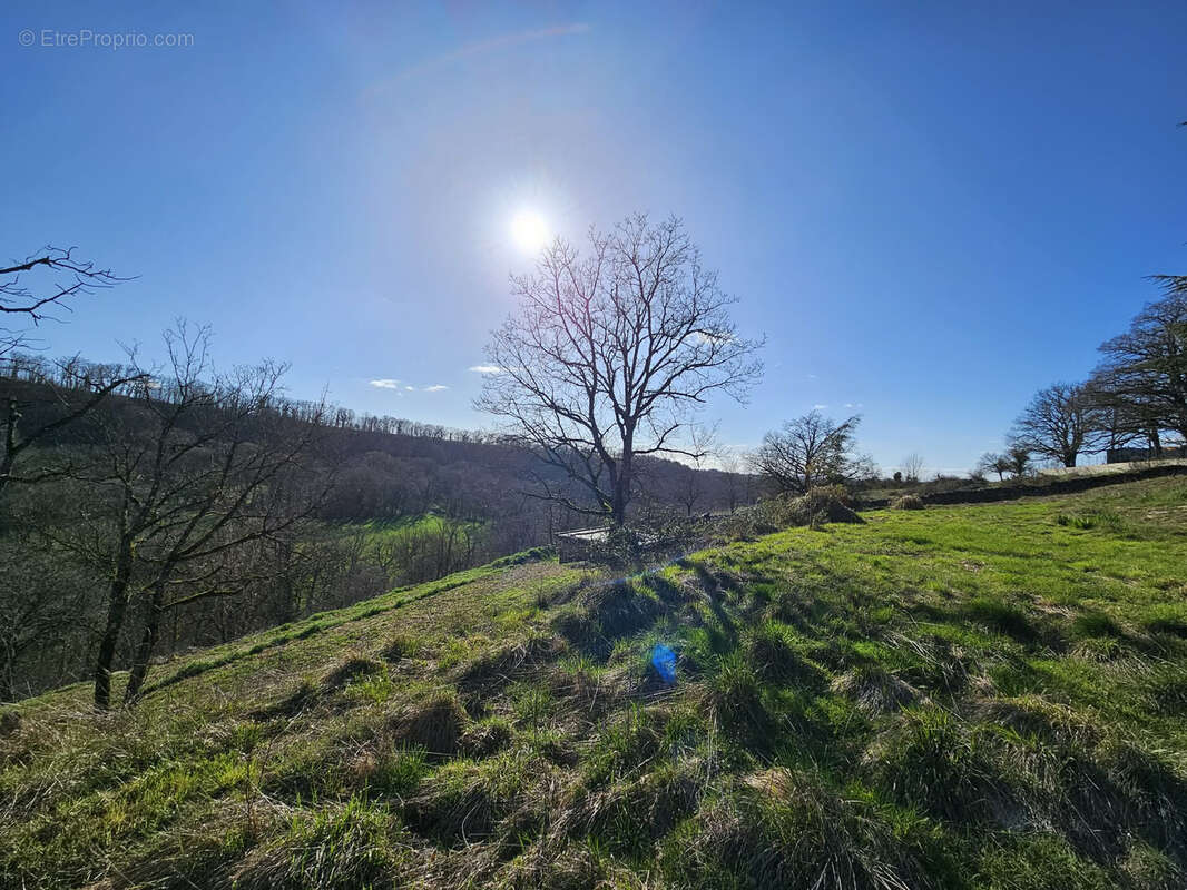 Terrain constructible de 3000 m2 avec très belle vue dégagée plein SUD secteur prisé d'Onet l'Eglise - photo 12