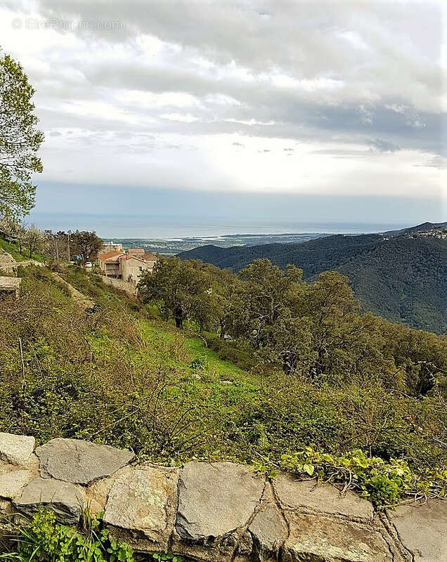 Terrain à PRUNELLI-DI-FIUMORBO