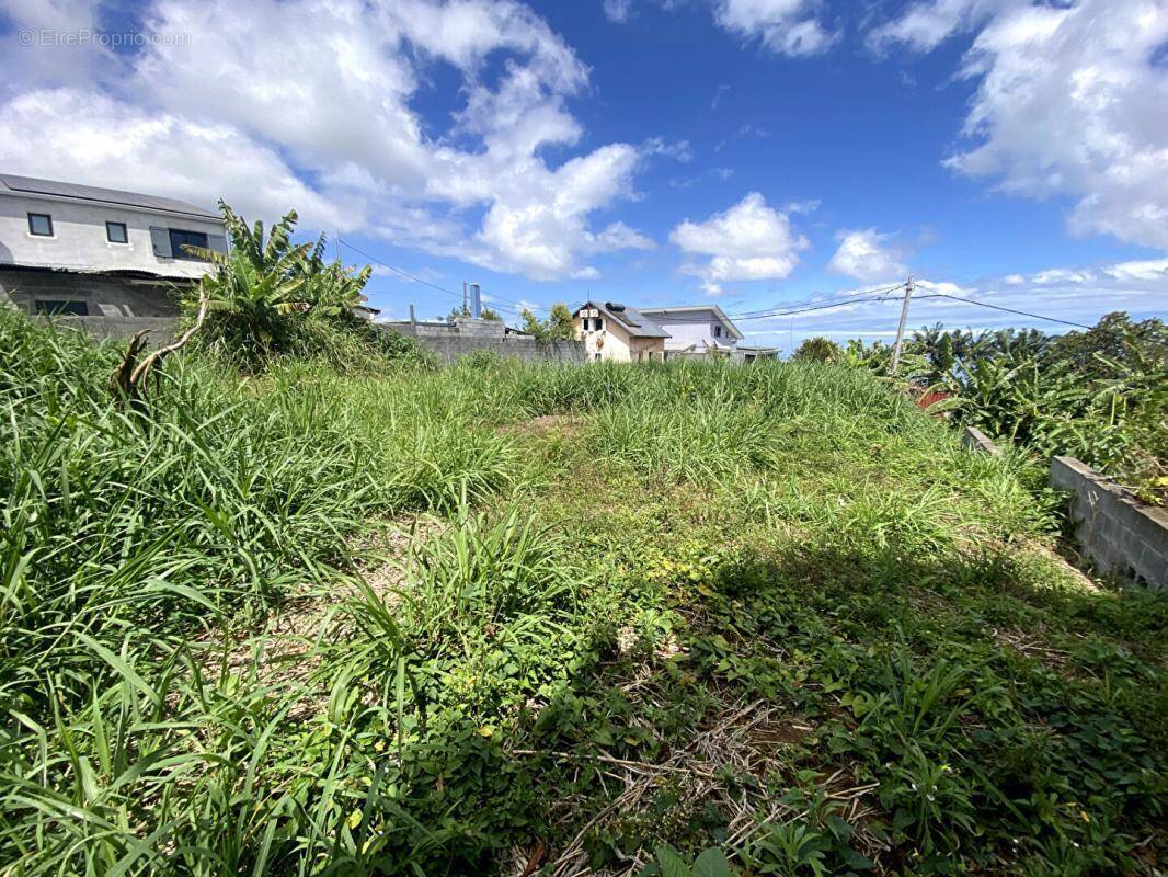 Terrain à LE TAMPON