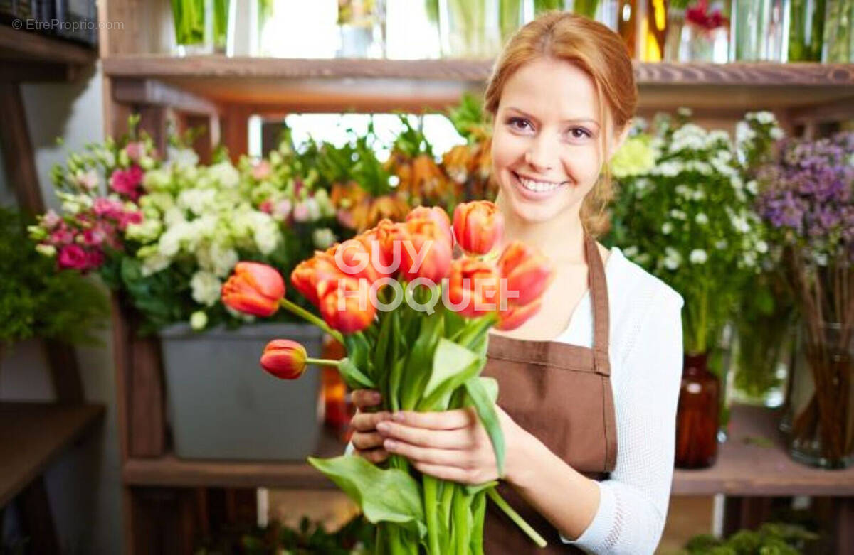 Commerce à TOULOUSE