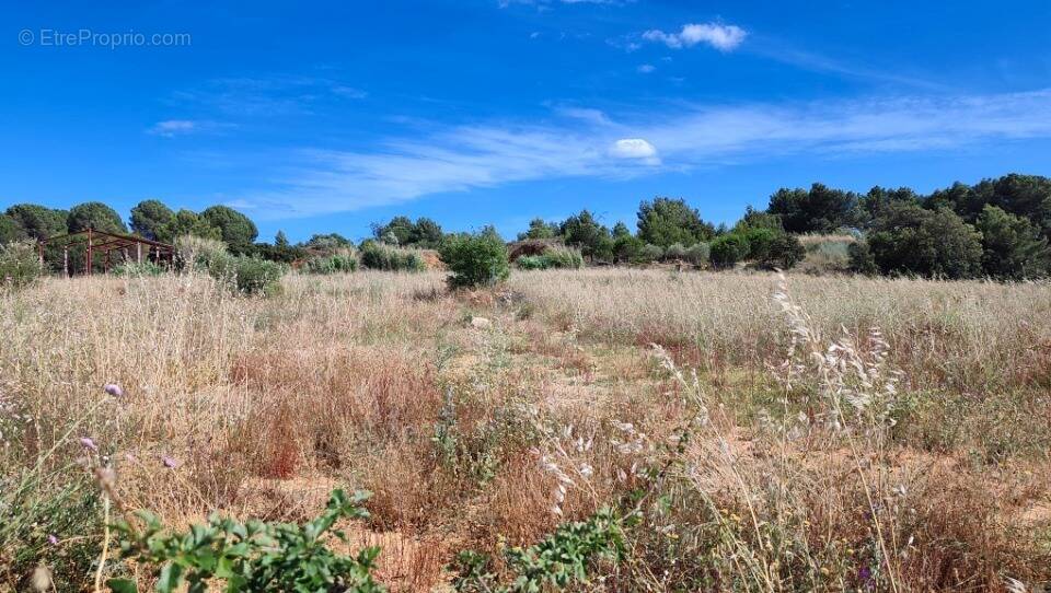 Terrain à SALLES-D'AUDE