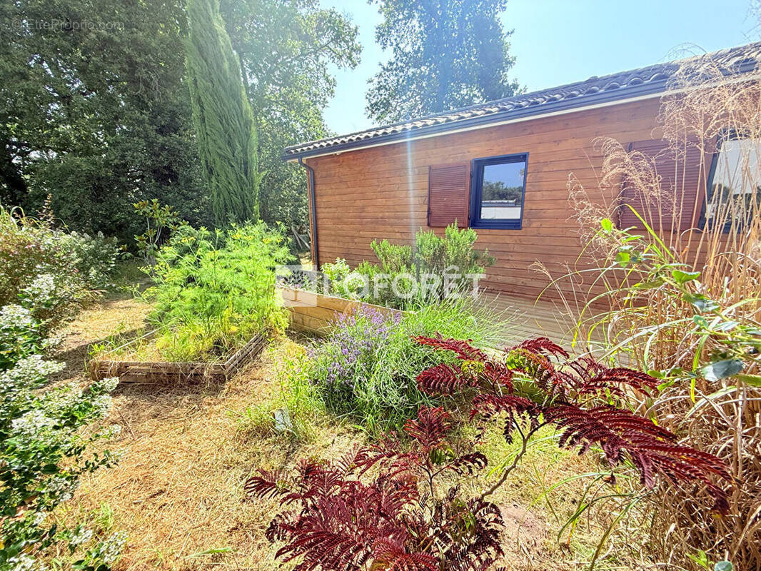 Maison à SAINT-JEAN-D'ILLAC