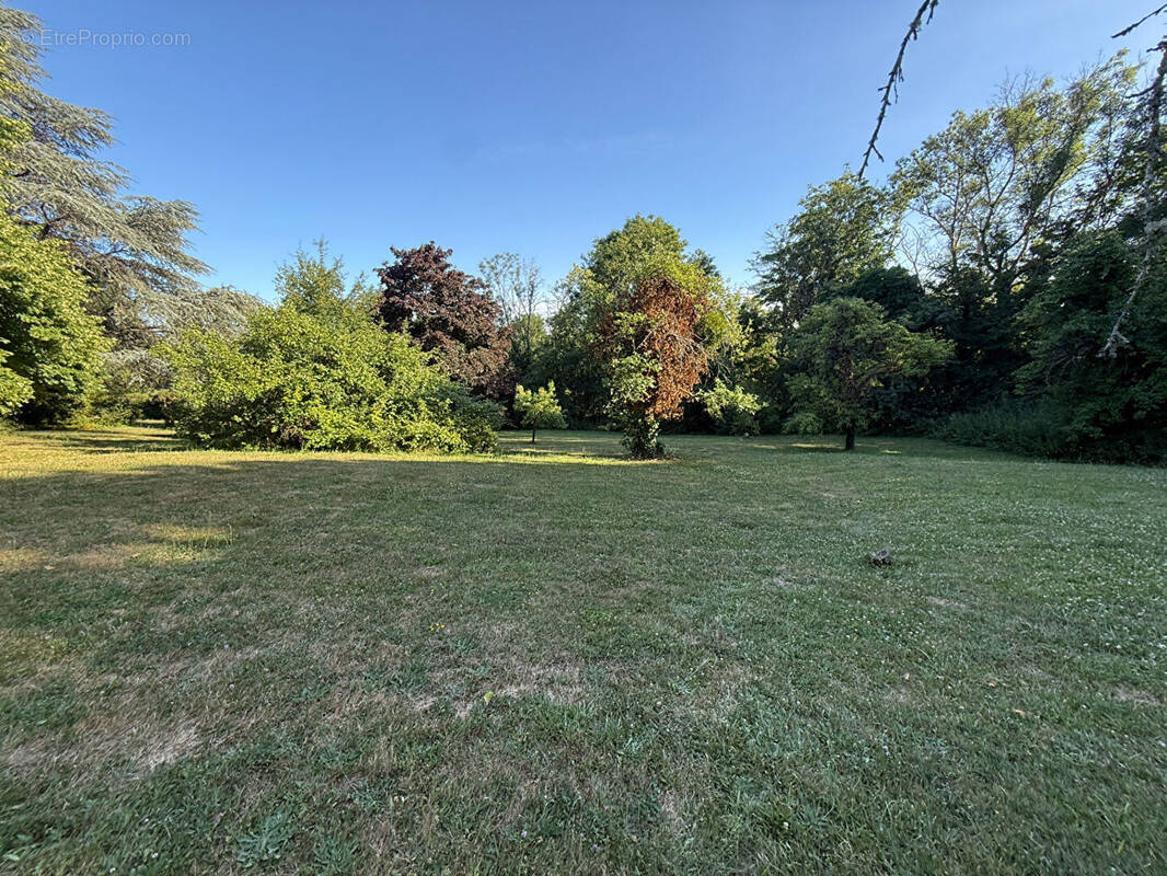 Terrain à CHEVREUSE