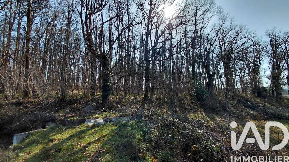 Photo 8 - Terrain à SAINT-PRIEST-LA-FEUILLE