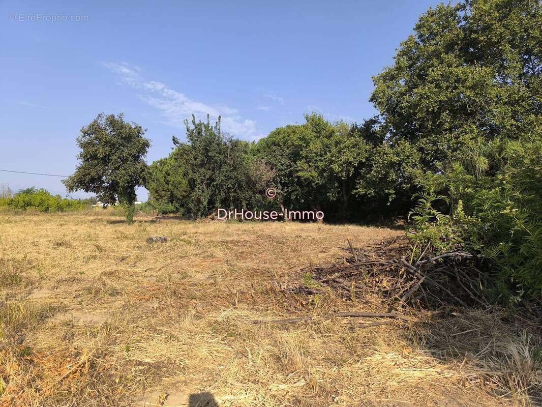 Terrain 5 661 m² à vendre à Bompas (66430) - photo 2
