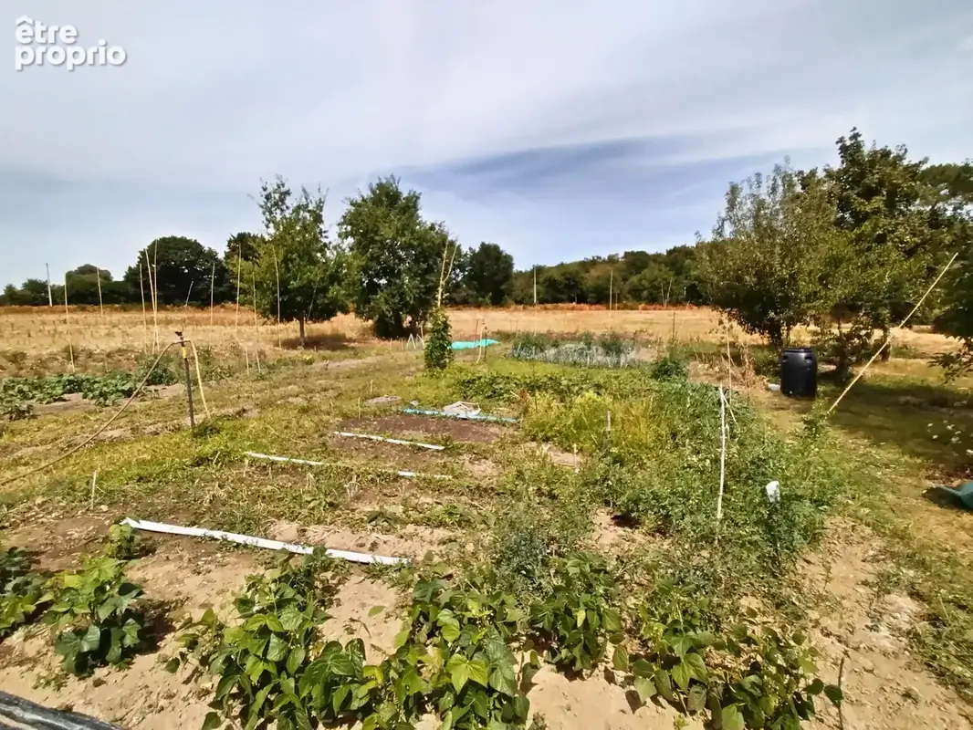 Arradon / rare sur le marché - photo 5