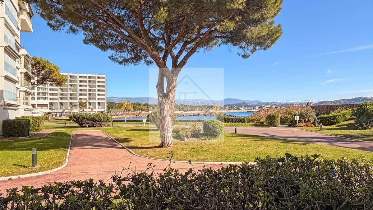 Appartement à MANDELIEU-LA-NAPOULE