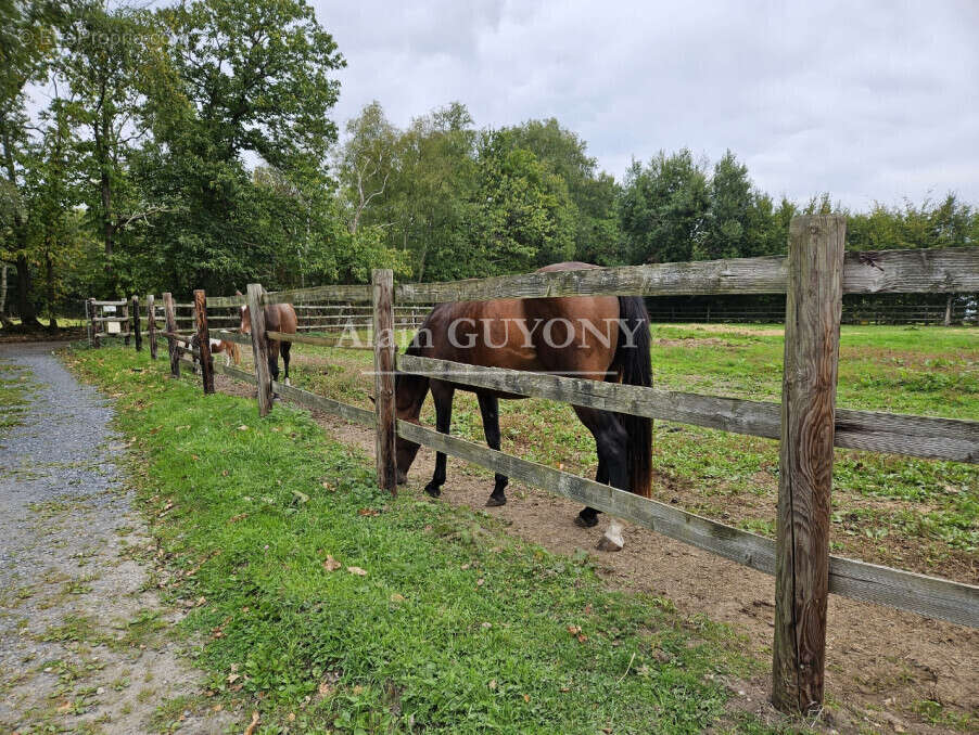 Maison à PONT-L&#039;EVEQUE