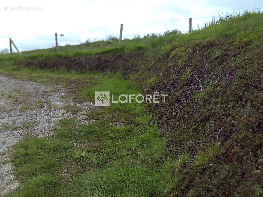 Terrain à CAMPAGNE-LES-HESDIN