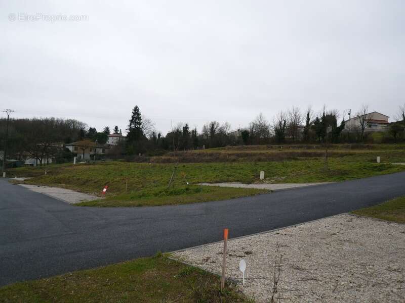 Terrain à SAINT-LAURENT-DE-COGNAC