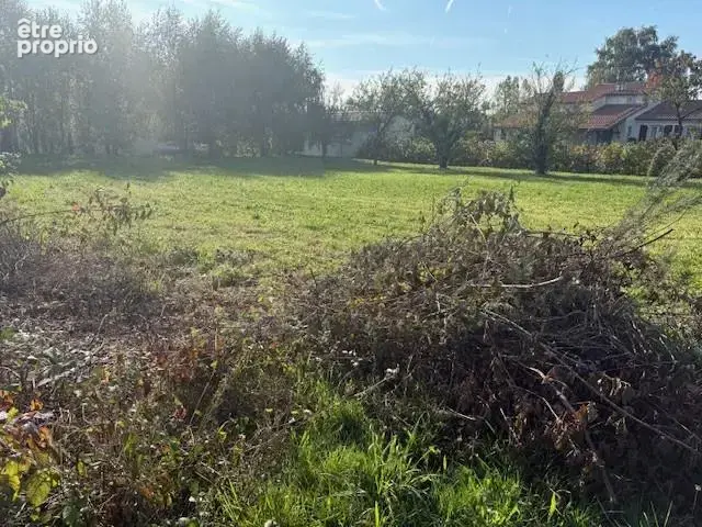 Terrain à SAINT-REMY