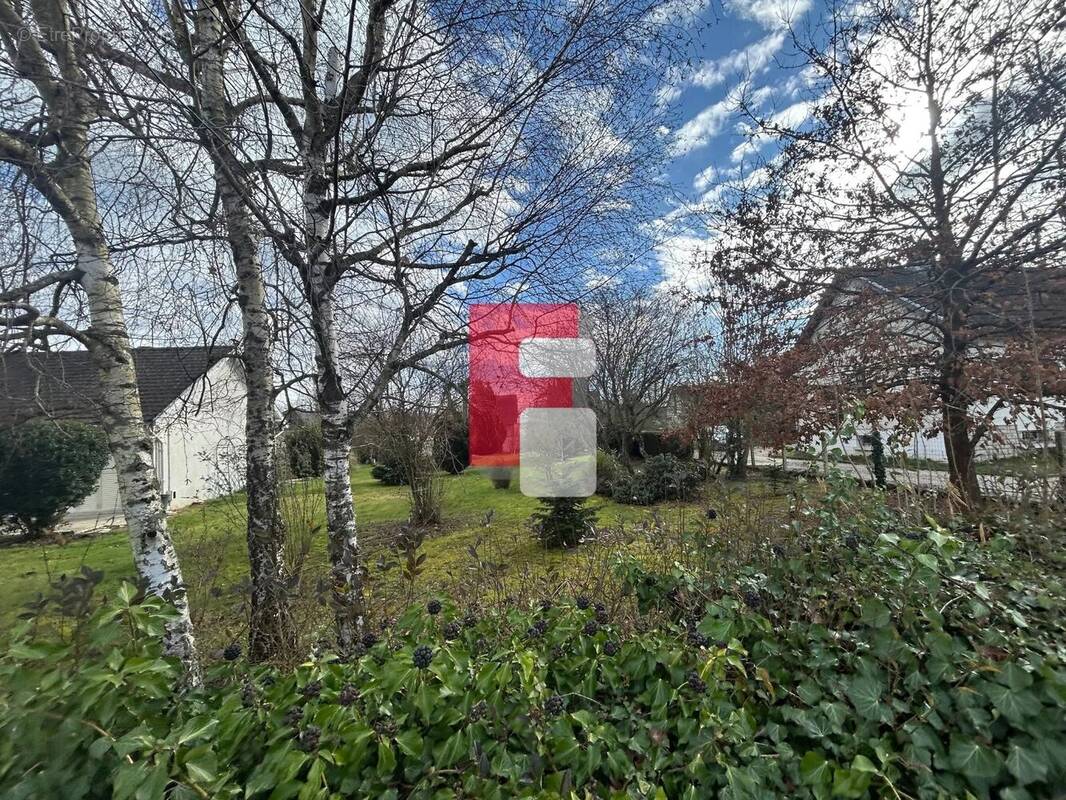 Terrain à LUSIGNY-SUR-BARSE