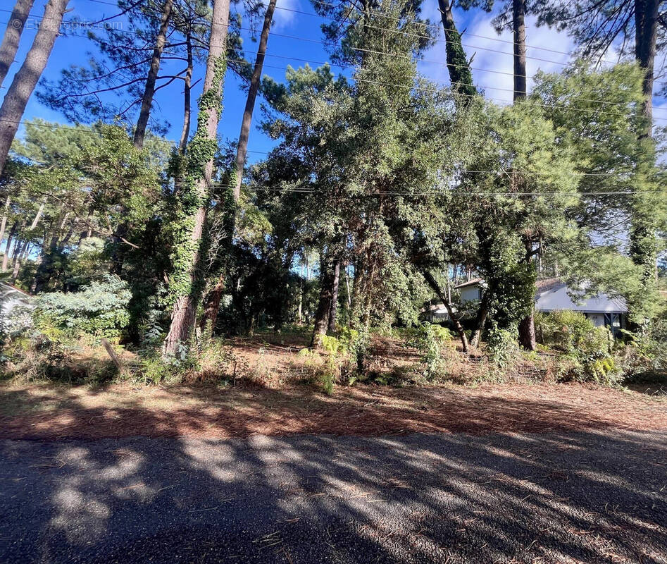 Terrain à HOSSEGOR