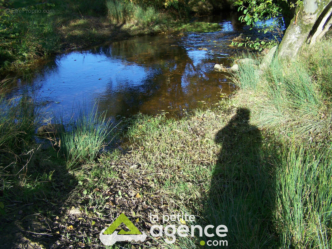 Terrain à LUSSAC-LES-EGLISES