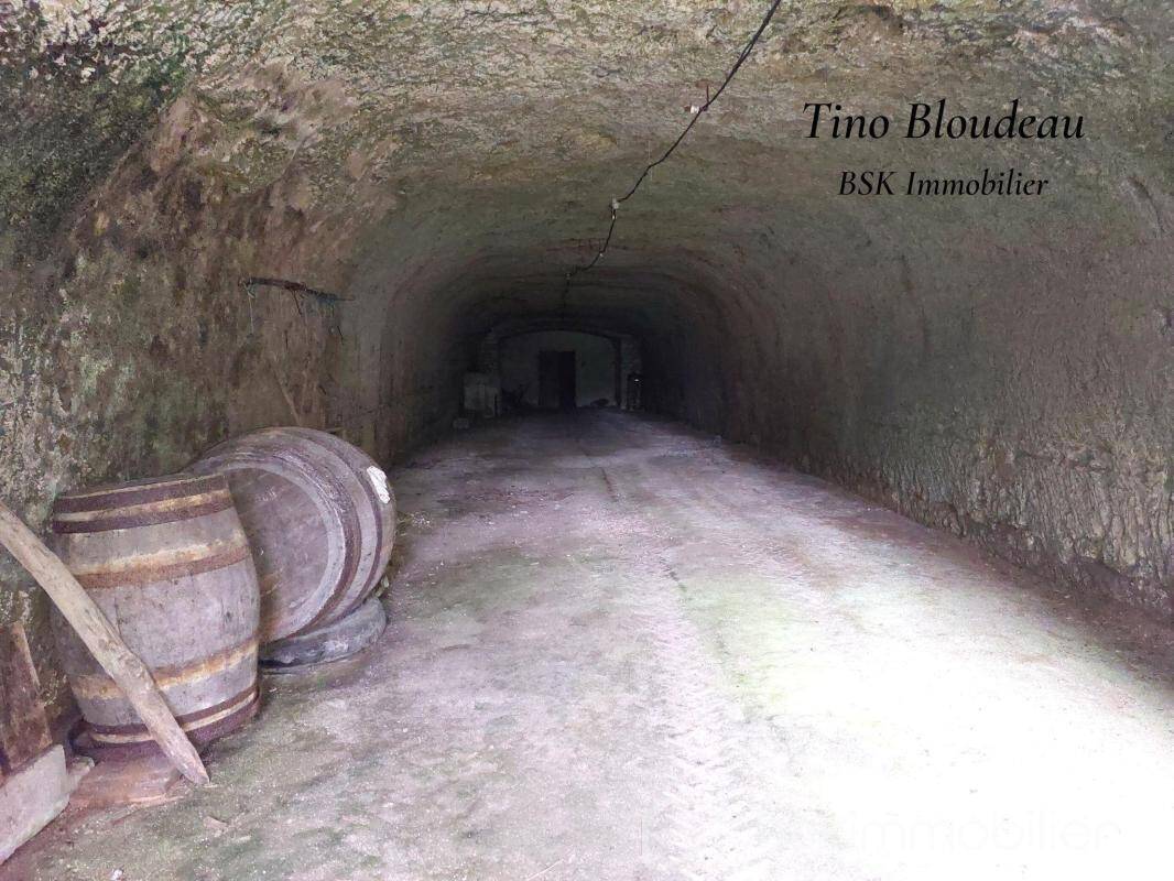 Maison à LA CROIX-EN-TOURAINE