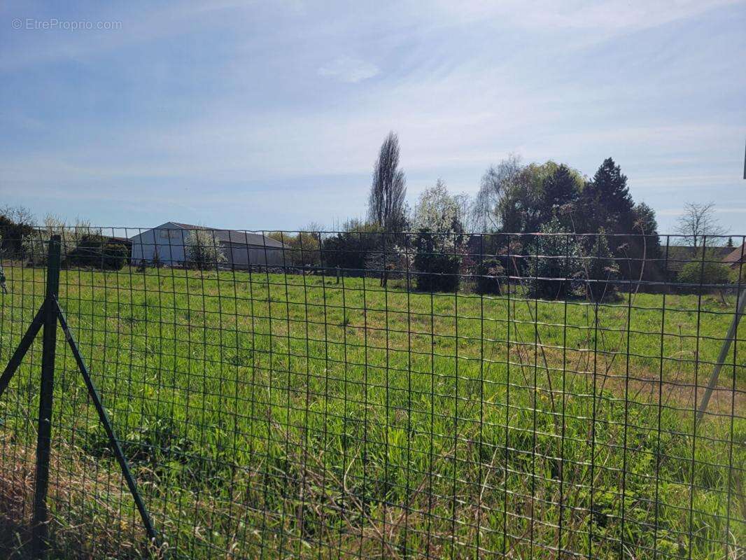 Appartement à ORCHIES