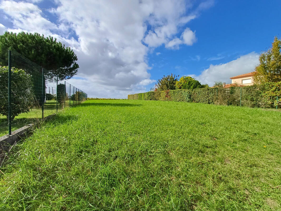 Terrain à BARBEZIEUX-SAINT-HILAIRE