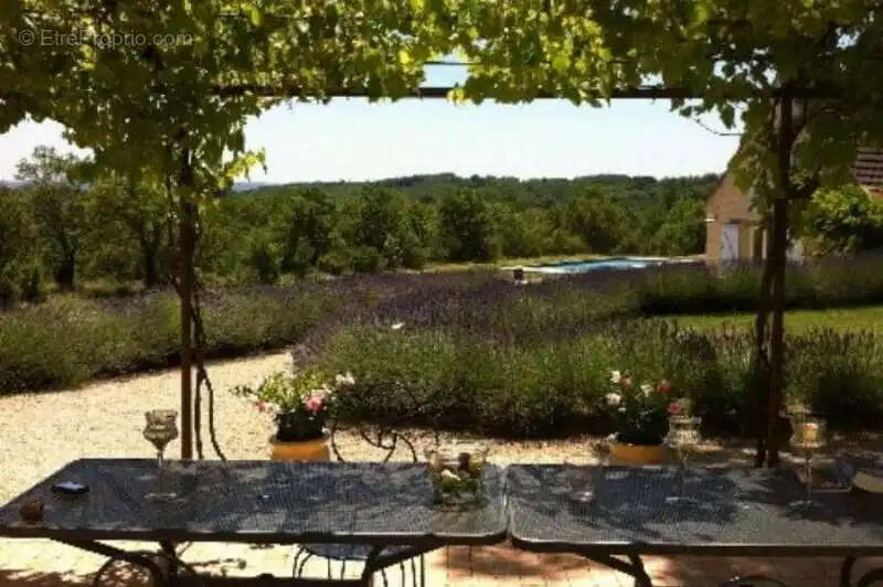 Propriété quercynoise , Francoules , 8 pièces,  450 m2 , 9 hectares - photo 7