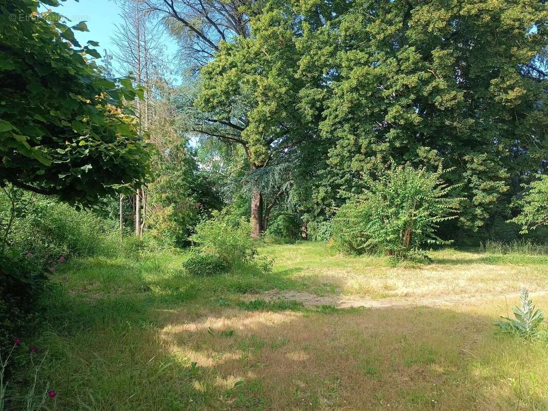 Maison à MONTMORILLON