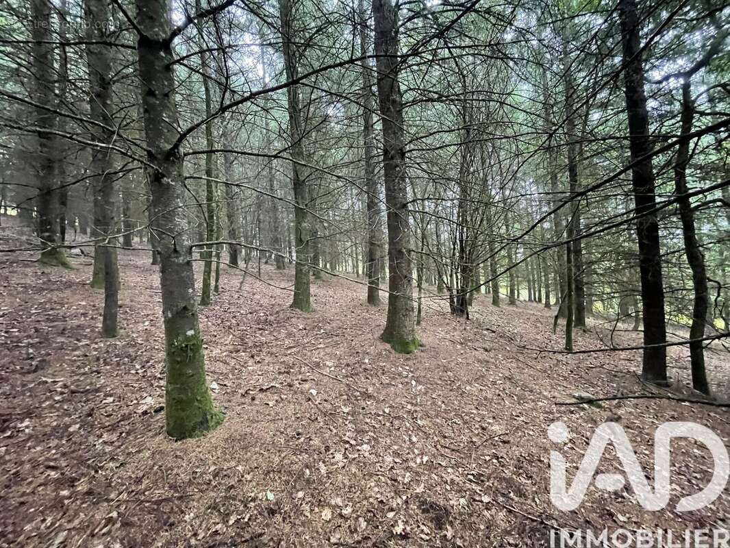 Photo 2 - Terrain à NEDDE