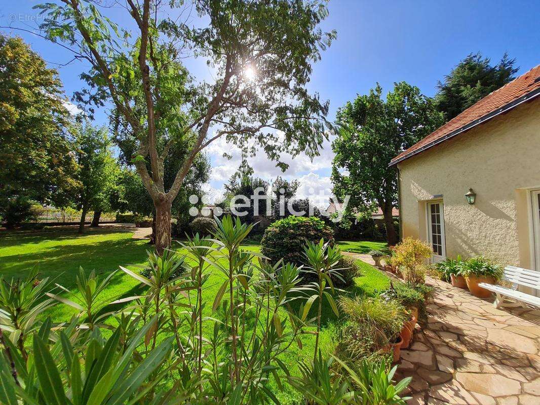 Maison 207 m² à Le Loroux-Bottereau  - photo 20