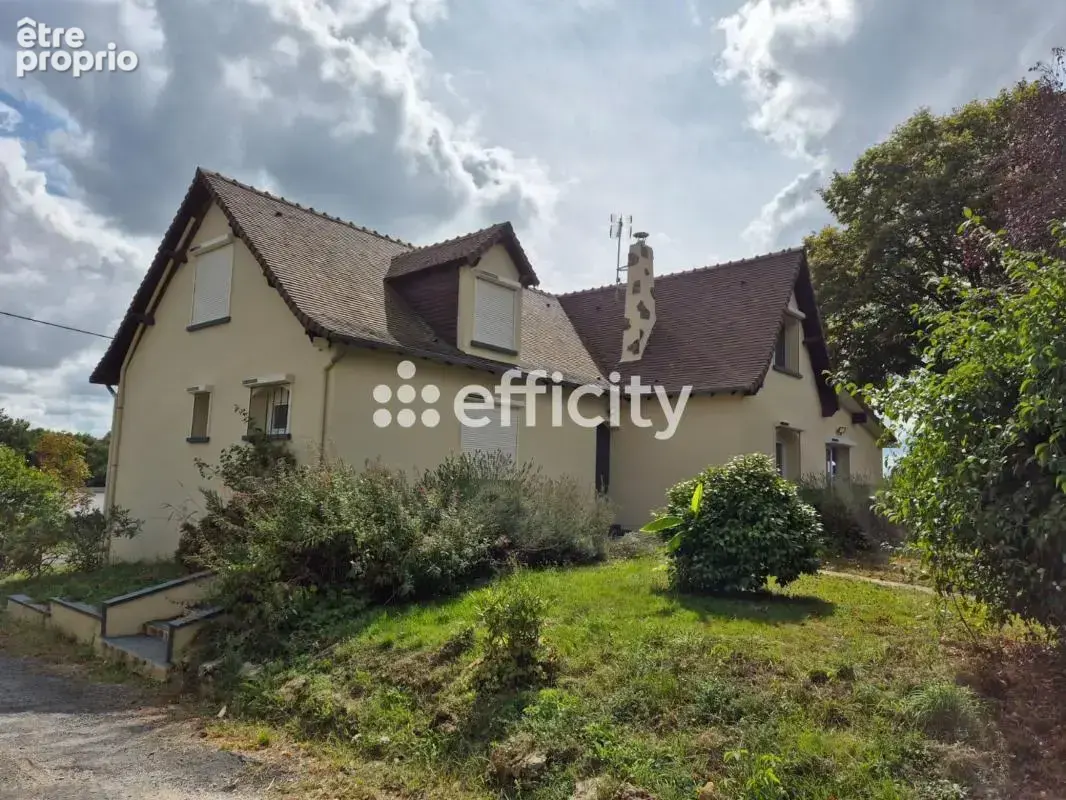 Maison 200 m² à Thevet-Saint-Julien  - photo 2