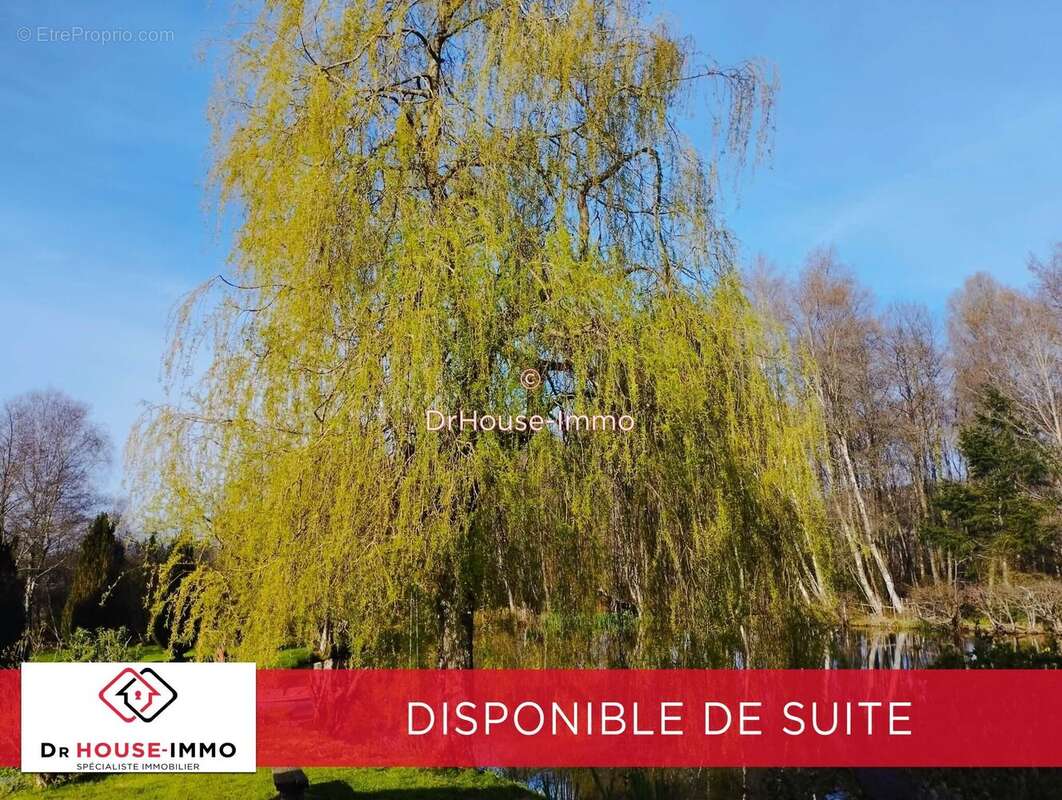 180 m² à Saint-Georges-De-Rouelley  - photo 9