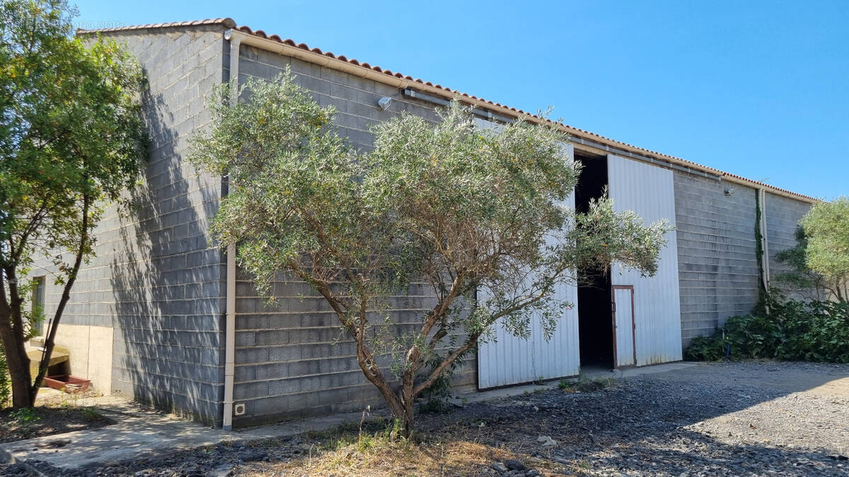 Parking à PUISSALICON