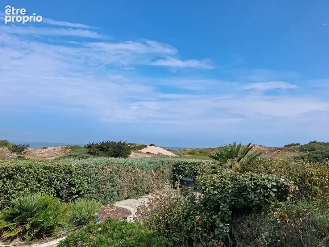 Vue mer et dunes - un écrin de sérénité face à l'Océan - photo 17