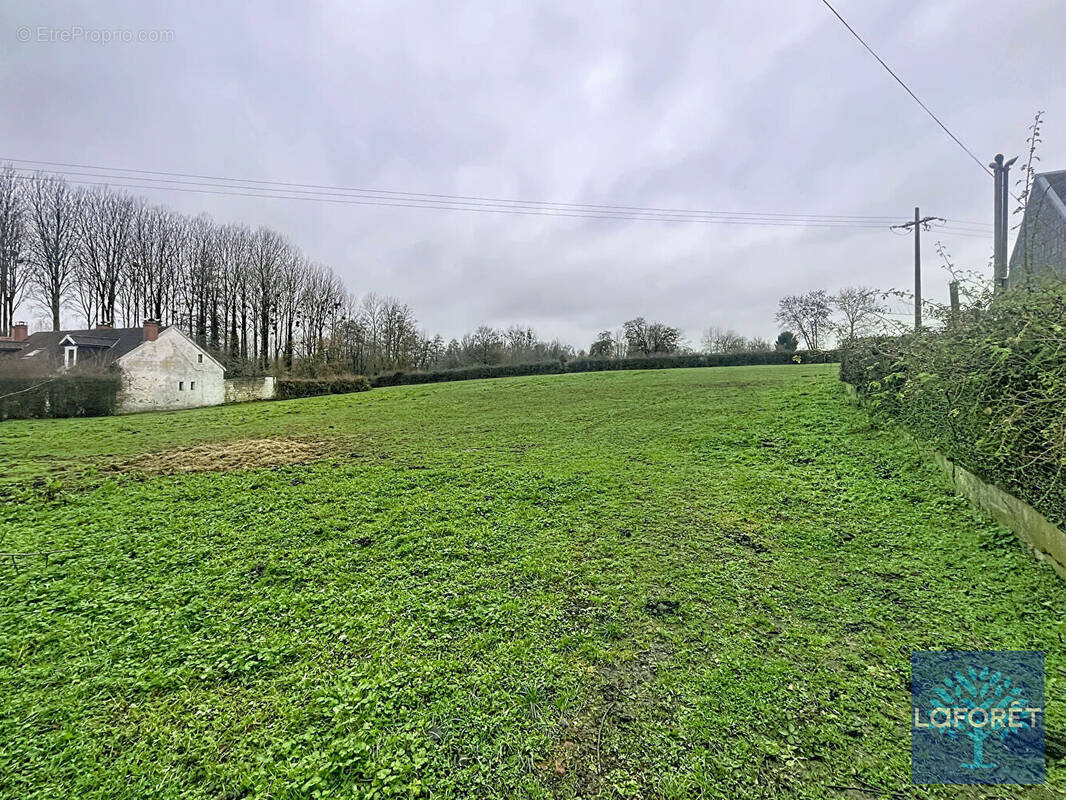 Terrain à VILLEREAU