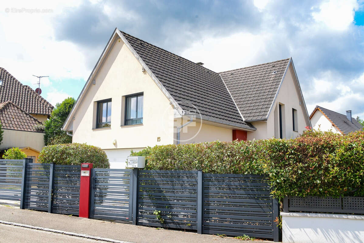 Maison 199 m² à Hegenheim  - photo 3