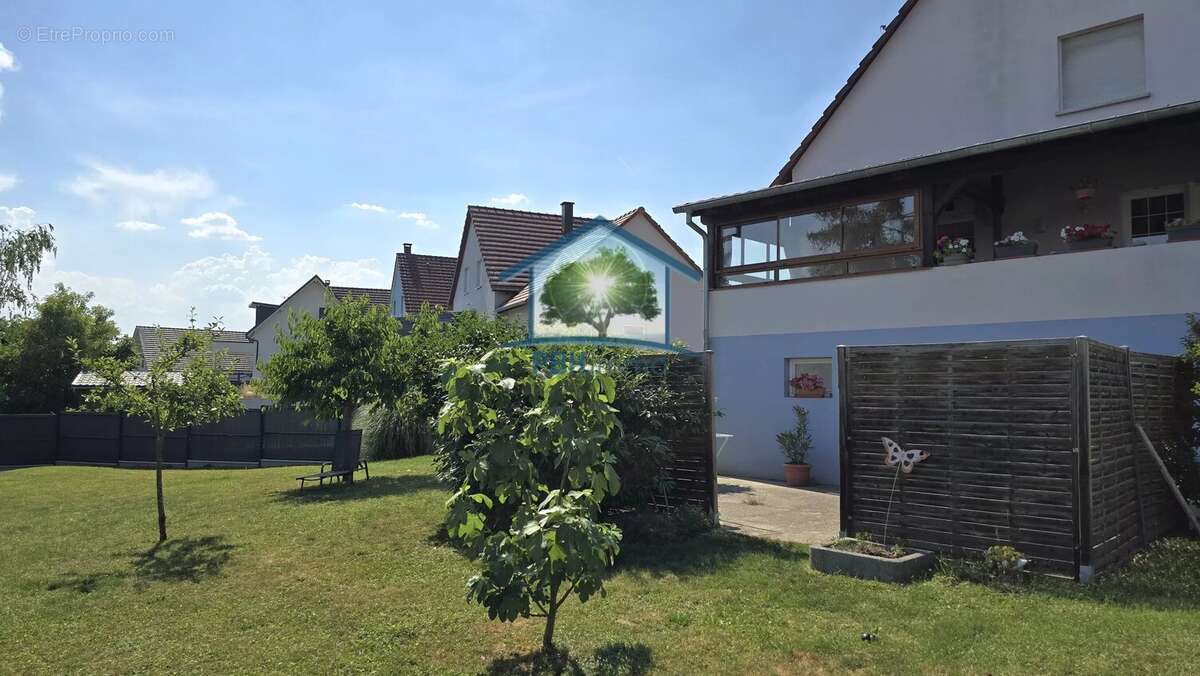 Offwiller (67) - maison 126 m² sur 8 ares - photo 14