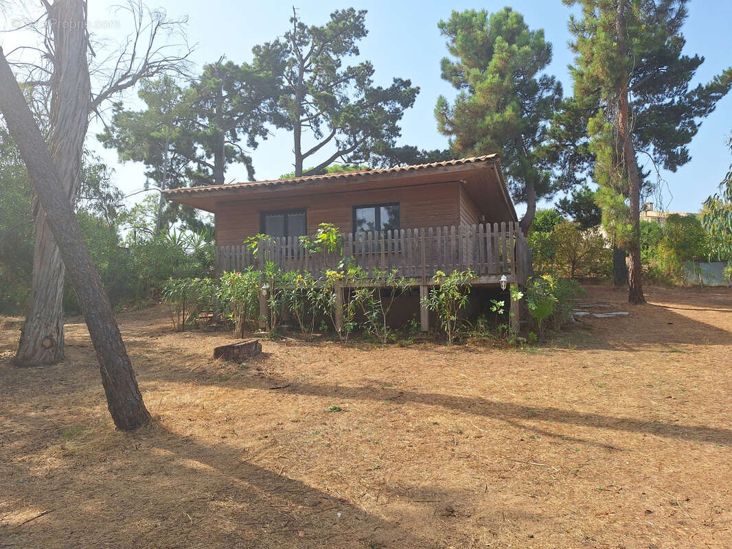 Maison à PIETROSELLA