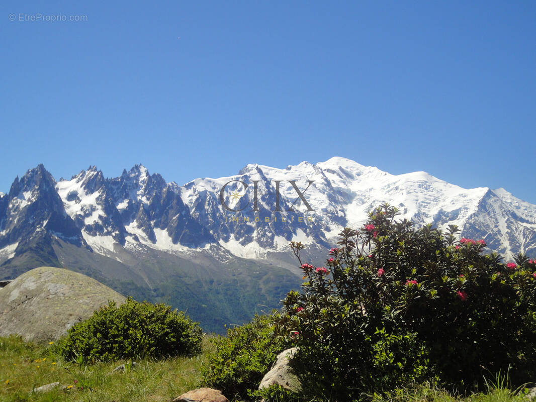 Commerce à CHAMONIX-MONT-BLANC