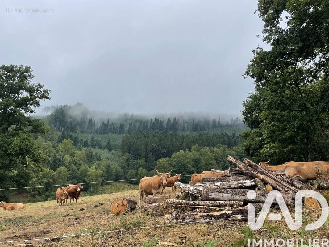 Photo 1 - Terrain à NEDDE